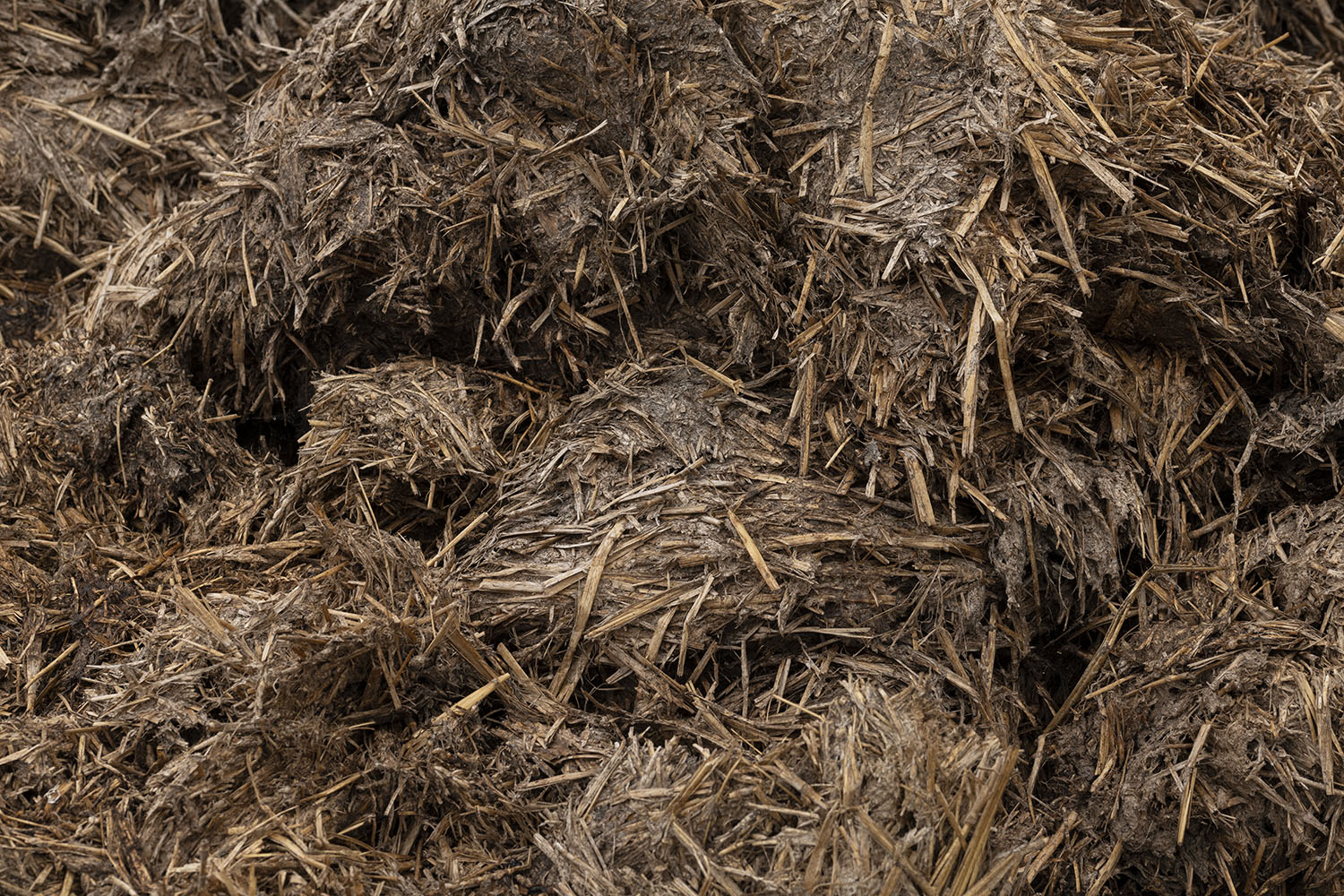 expanded photography